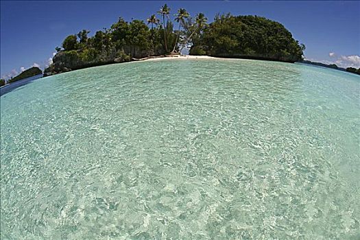 密克罗尼西亚,贝劳,棕榈海滩,美好,晶莹,清水,热带海岛