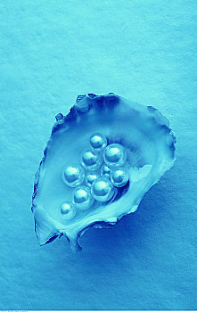 珍珠,牡蛎