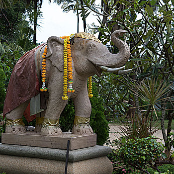 雕塑,大象,苏梅岛,苏拉塔尼,省,泰国
