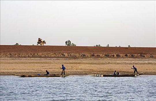 马里,尼日尔,三角洲,两个,独木舟,向上,尼日尔河,驴,运输,背景