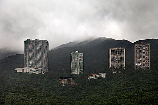 香港,塔,树林