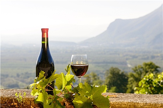 瓶子,红酒杯,葡萄园,背景