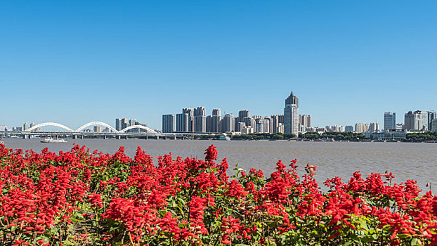 中国哈尔滨松花江边建筑树林草地