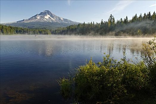 延龄草,湖,胡德山,火山,喀斯喀特山脉,俄勒冈,美国