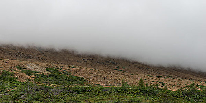 雾,上方,高原,格罗莫讷国家公园,纽芬兰,拉布拉多犬,加拿大