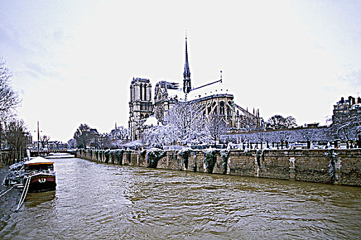 法国,巴黎,塞纳河,冬天,圣母大教堂