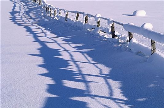 积雪,栅栏,奥地利