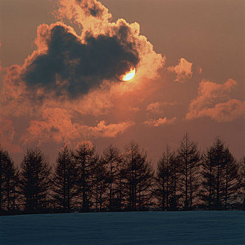 日落,雪原
