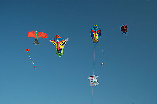 飞,风筝,流行,娱乐,孟加拉,不同,形状,彩色,节日,圣徒,岛屿,市场,二月,2008年
