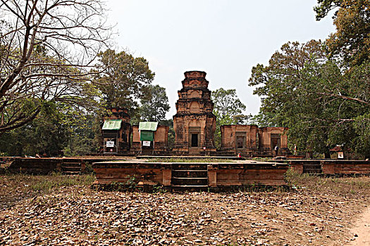 豆蔻寺