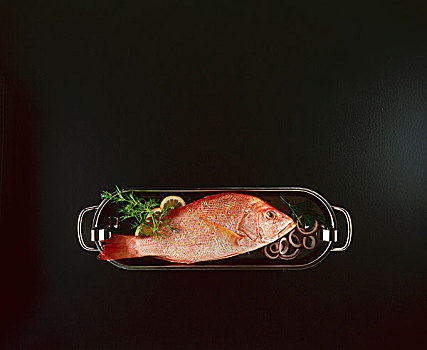 红鲷鱼,鱼肉,容器