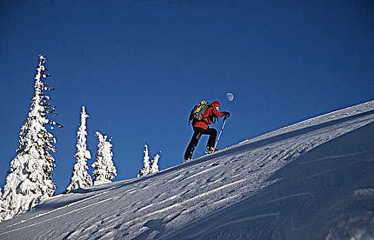 女性,滑雪者,去皮,向上,斜坡,边远地区,红色,山,不列颠哥伦比亚省,加拿大