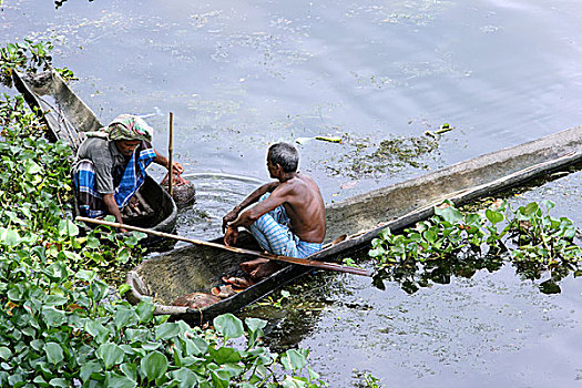 孟加拉,两个,渔民,计算,早晨,河,2007年