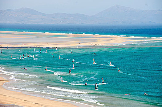 风,冲浪,海滩,富埃特文图拉岛,加纳利群岛,西班牙,欧洲