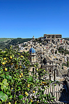 意大利,西西里岛,拉古萨伊布拉,查看的,巴洛克式的,柠檬树