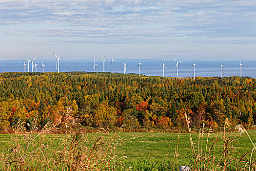 风轮机,风电场,魁北克,加拿大