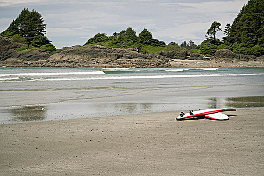 冲浪板,海岸线,环太平洋国家公园,温哥华岛,加拿大