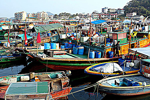 渔船,锚定,码头,香港
