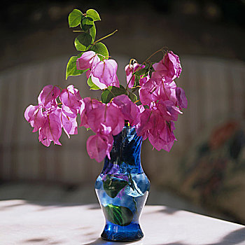 束,粉色,叶子花属,蓝色,玻璃花瓶