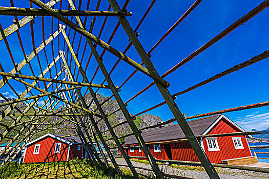 鱼,干燥架,红色,小屋,罗弗敦群岛,挪威