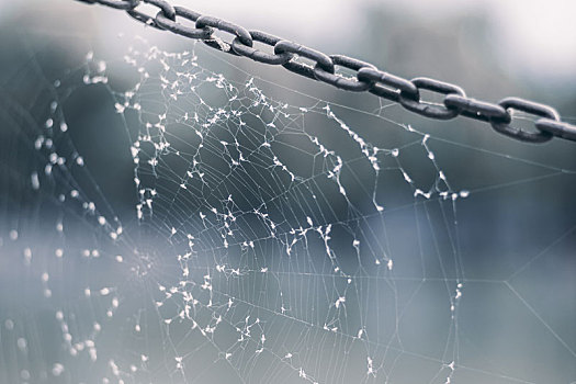 锁链与蜘蛛网