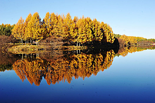 河北承德塞罕坝金秋美景如画