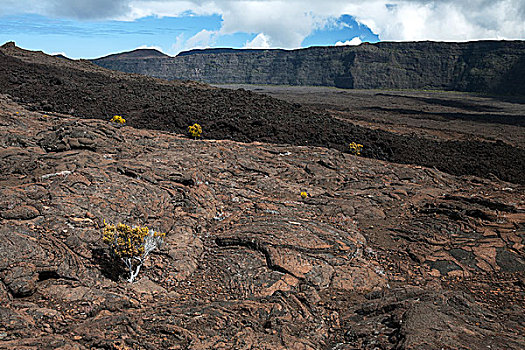 火山地貌,火山口,团聚,法国,非洲