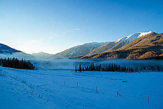 新疆,白哈巴村,村庄,雾,雪景