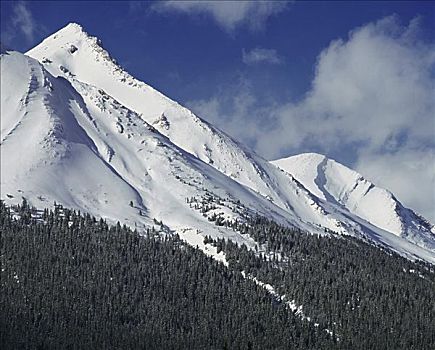 加拿大,落矶山,艾伯塔省