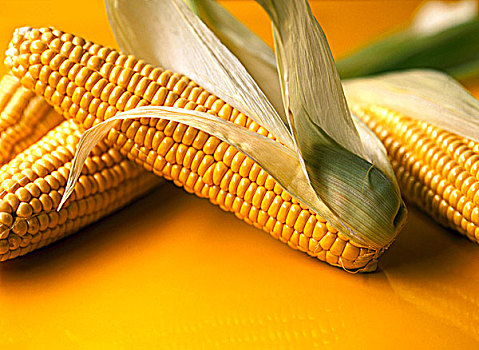 玉米棒,玉米,黄色背景