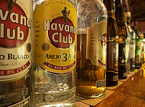 古巴,哈瓦那,朗姆酒,瓶子,排列,酒吧