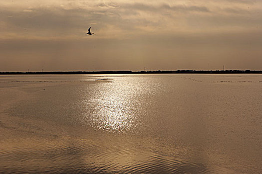 秦皇岛湿地