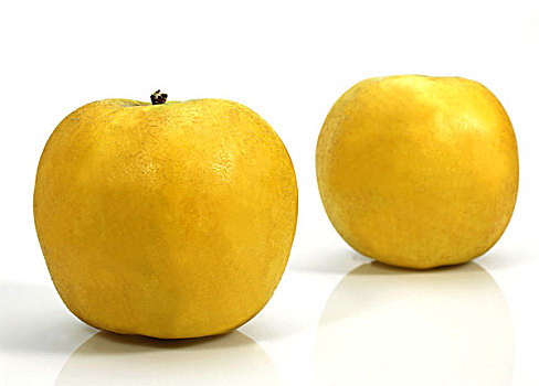 金色,苹果,苹果树,白色,背景
