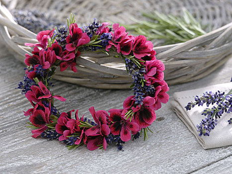 小,花环,花,天竺葵,紫红色