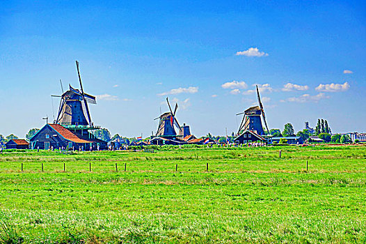 荷兰乡村风车牧场草地