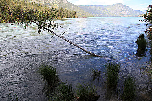 喀纳斯湖美景