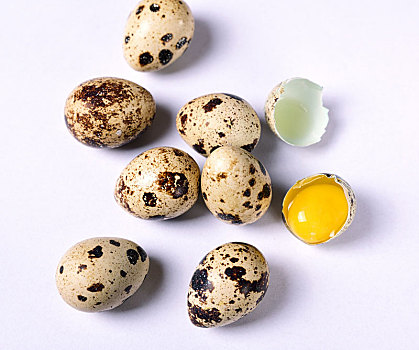 生食,鹌鹑蛋,白色背景,背景