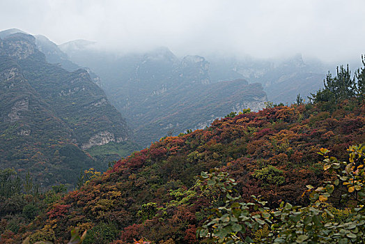 坡峰岭秋色