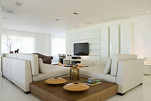 优雅,客厅,座椅,茶几,平板电视
