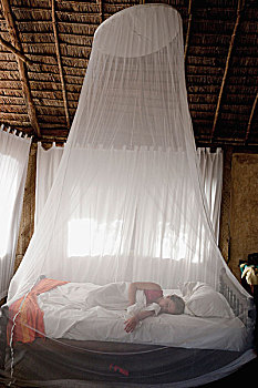 睡觉,网,湾,胜地,拉穆群岛,肯尼亚,非洲