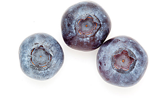 蓝莓,白色背景