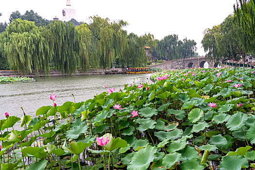 北京北海公园风光