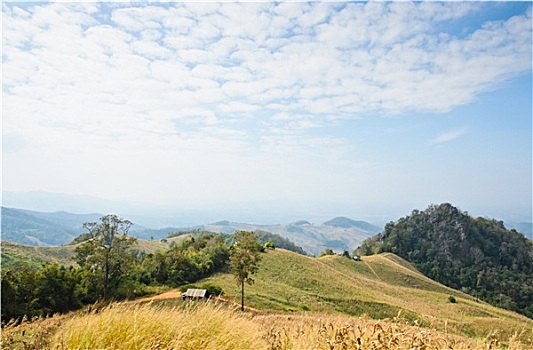 热带,山景,泰国