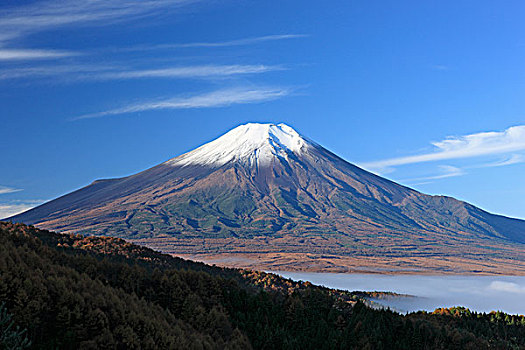 云海,山,富士山,早晨