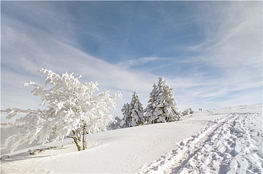 冬天,雪,瑞士