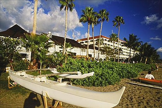 棕榈树,船,海滩,夏威夷,美国
