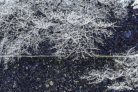 金泽,城堡,雪,石川