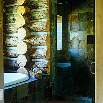 墙壁,浴室,巨大,原木,淋浴间,石头
