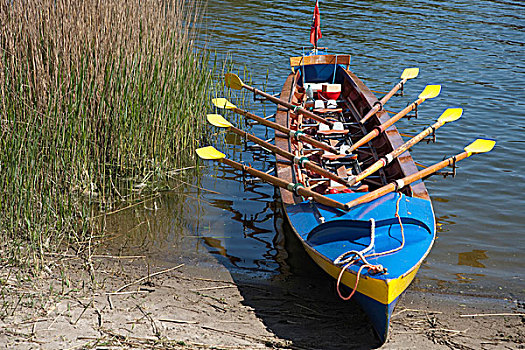 划桨船,岸边,河口,石荷州,北德,德国,欧洲