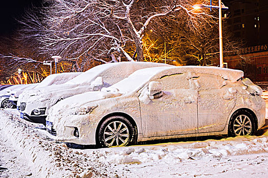 被雪掩埋的汽车